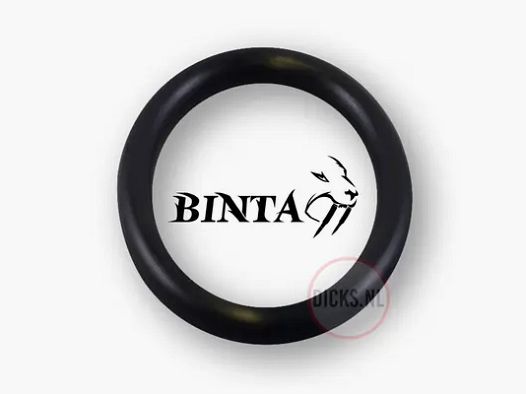 Interne Laufdichtung BinTac M50