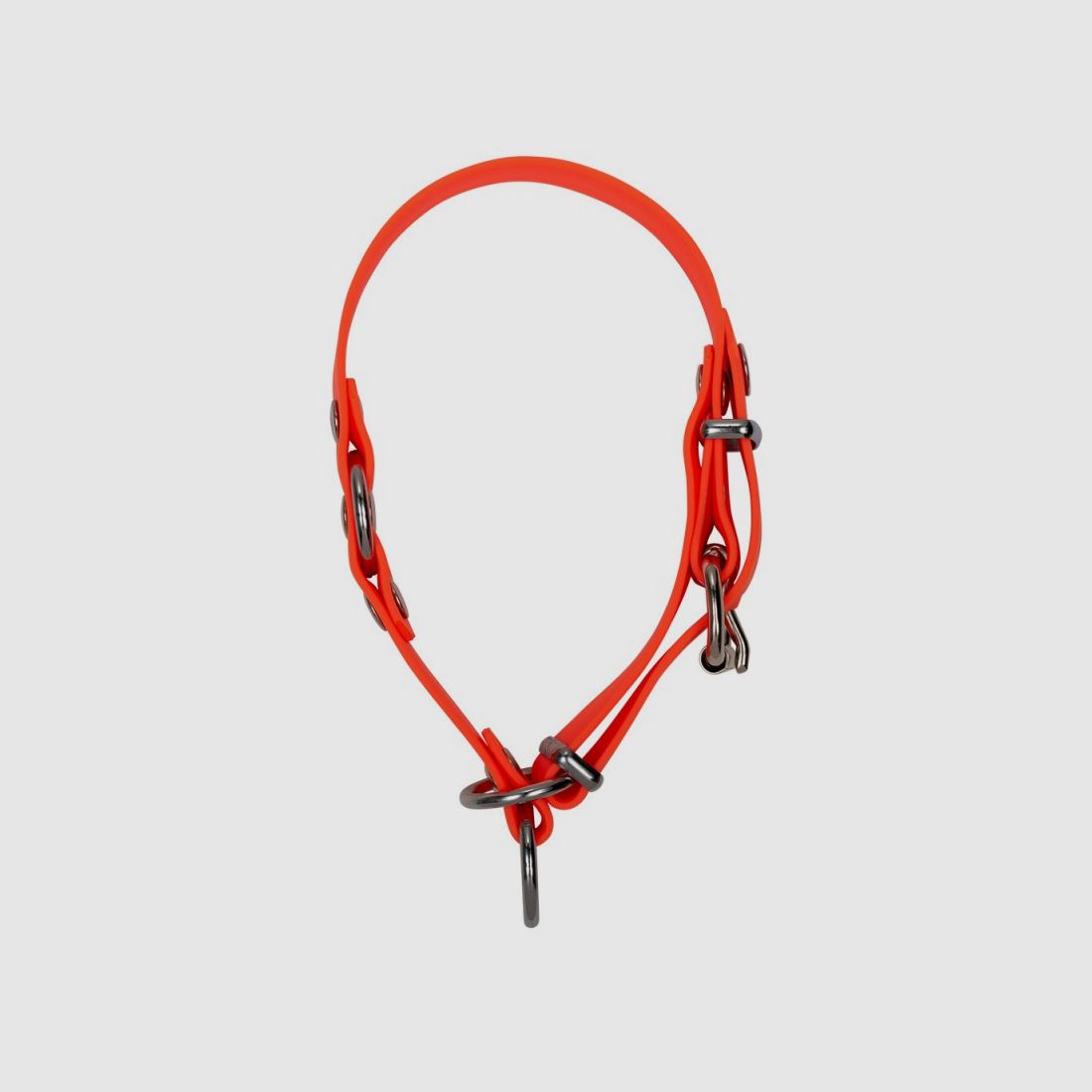 BLASER collar para perro Professional Orange, imagen 1 de 4