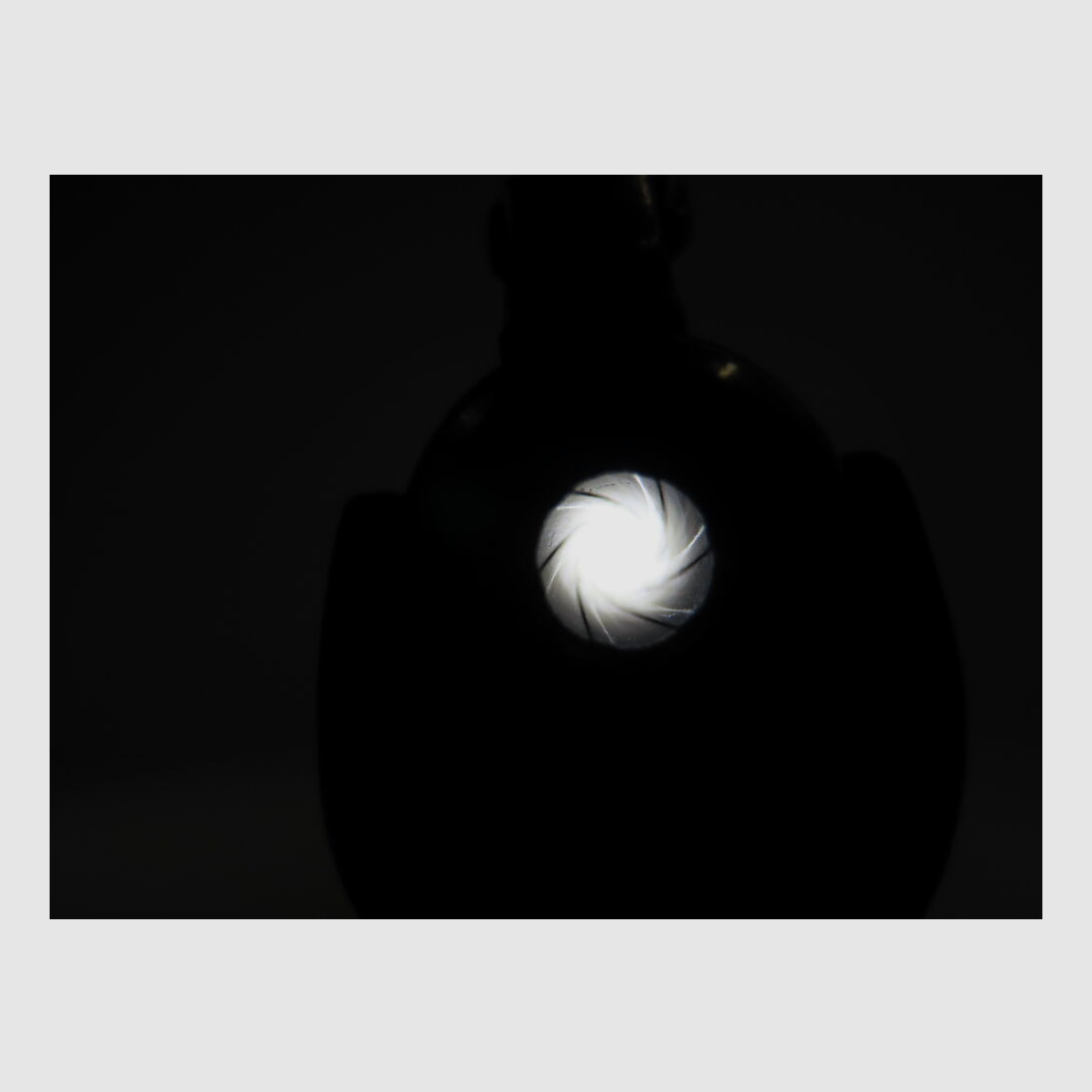 Steyr Mannlicher L Stutzen de Caza