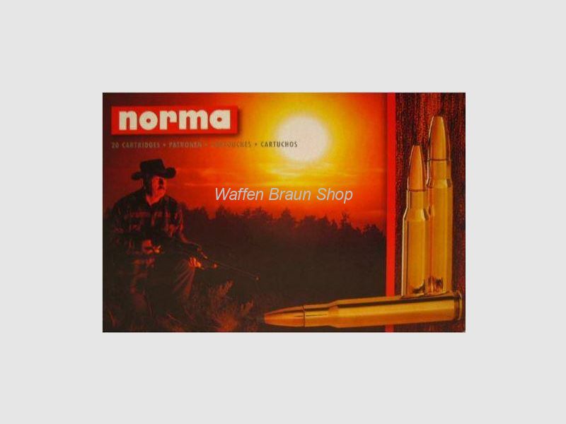 NORMA .375 H&H MAG SW A-FR 19,4G 300GR 20 Stück