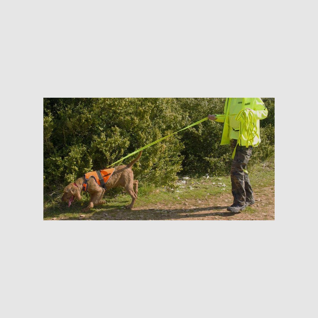 Canihunt Hundegeschirr SIGNAL L Signalorange