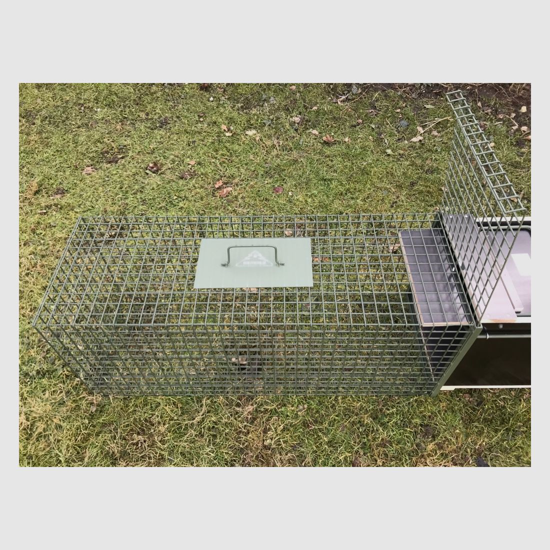 Entnahmebox groß