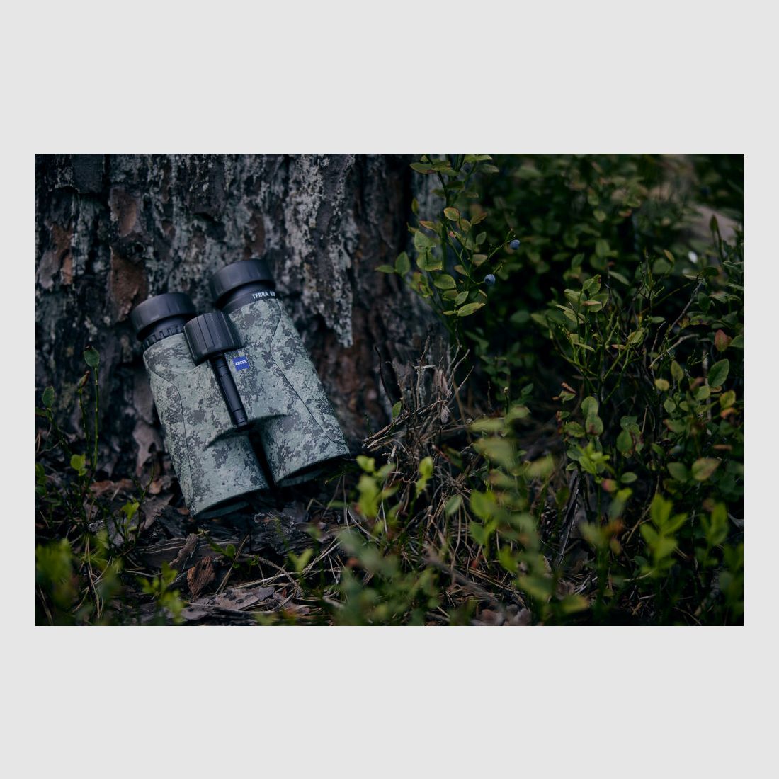 Carl Zeiss AG ZEISS Terra ED Camouflage 10x42 Lornetki Polowanie Szkło - Promocja Świąteczna!