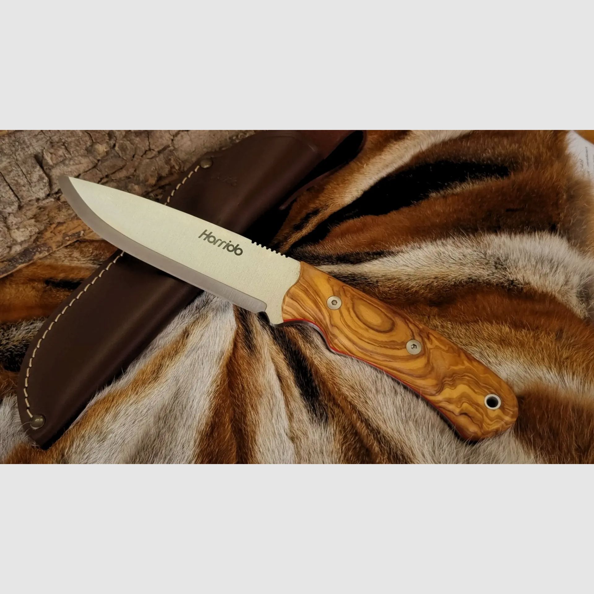 Horrido cuchillo de caza Oso