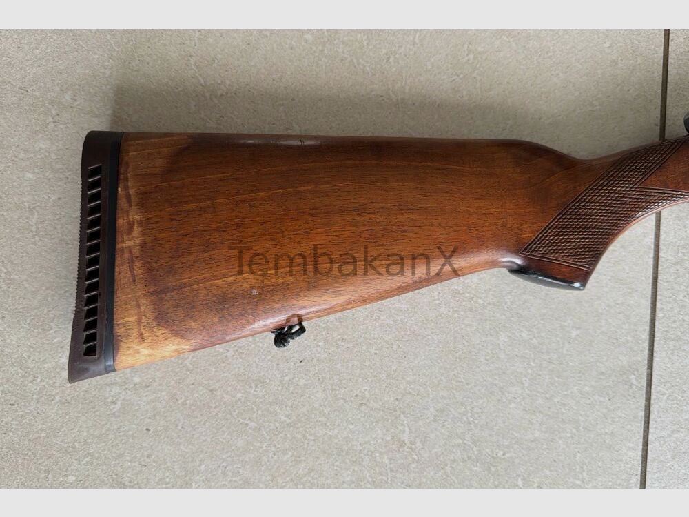 Aya Mod. Cosmos 16/70