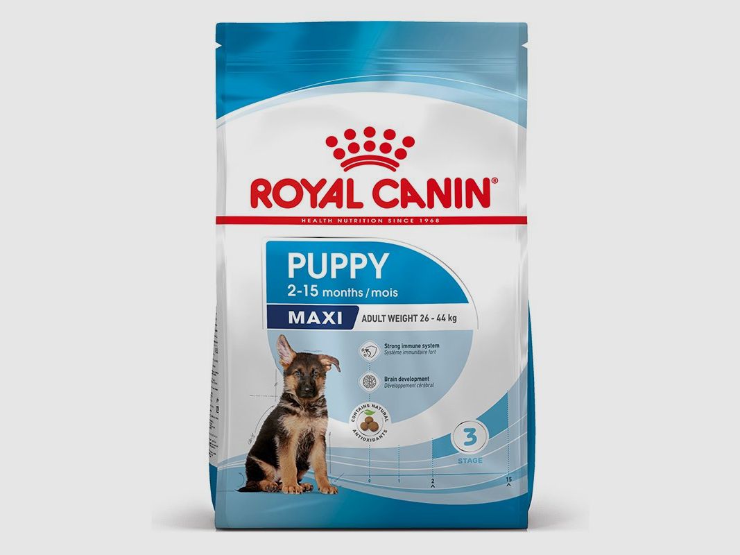 ROYAL CANIN MAXI Puppy Trockenfutter für Welpen großer Rassen 15 Kg