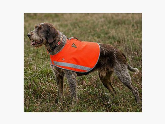 Gilet de sécurité Stepland orange fluo XL/2XL pour grand chien