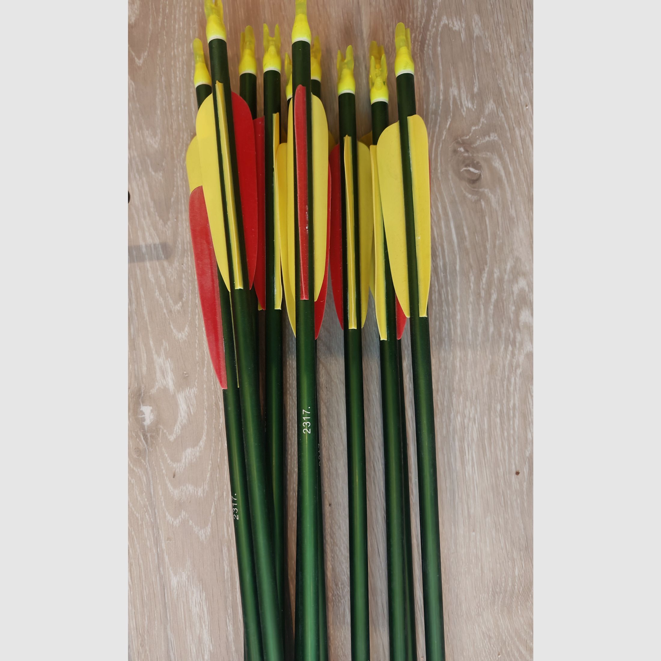 Arc à poulies, 11 flèches, longueur de tirage 28