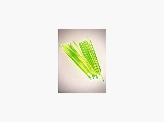 FIBRA ÓPTICA LPA DIAM 1MM VERDE X10