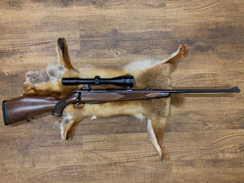 Sauer 80