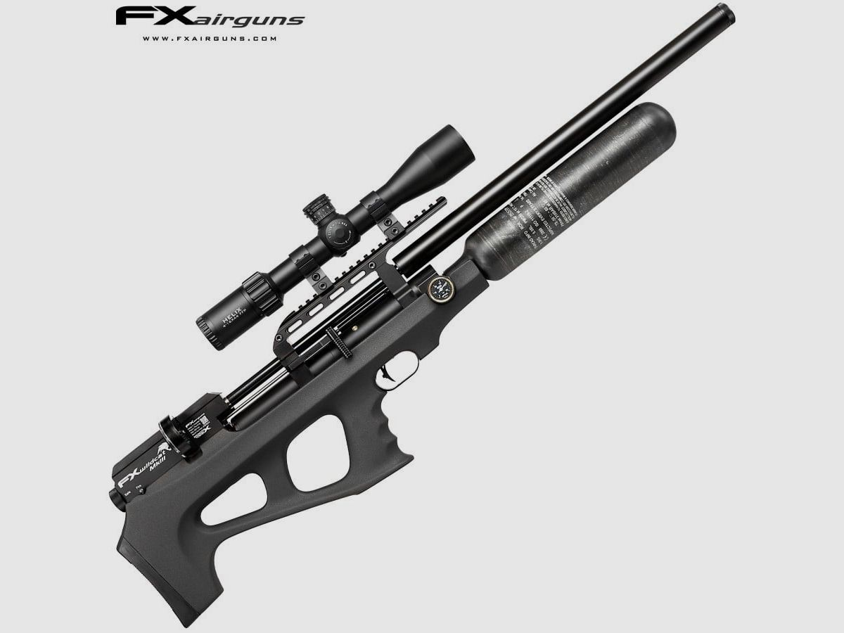 FX Wildcat MK3 BT, Bild 1 von 3