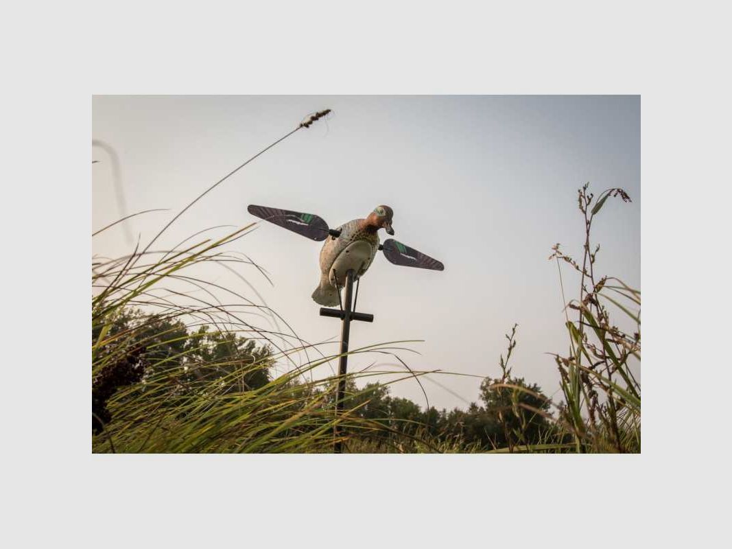 Lucky Duck Teal met roterende vleugels, afbeelding 2 van 2