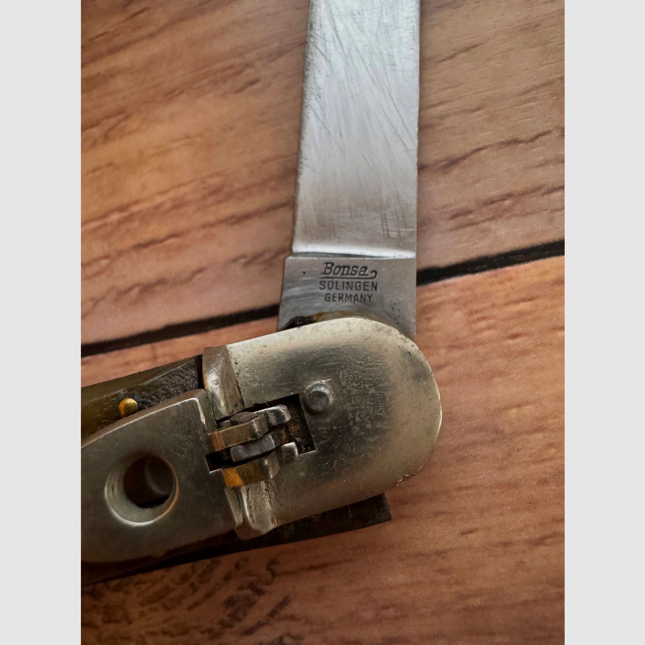 Collezione coltello pieghevole Springer Bonsa Solingen manico in corno di cervo Wingen