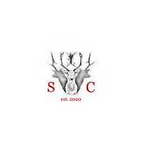 SaynConsult e.U.