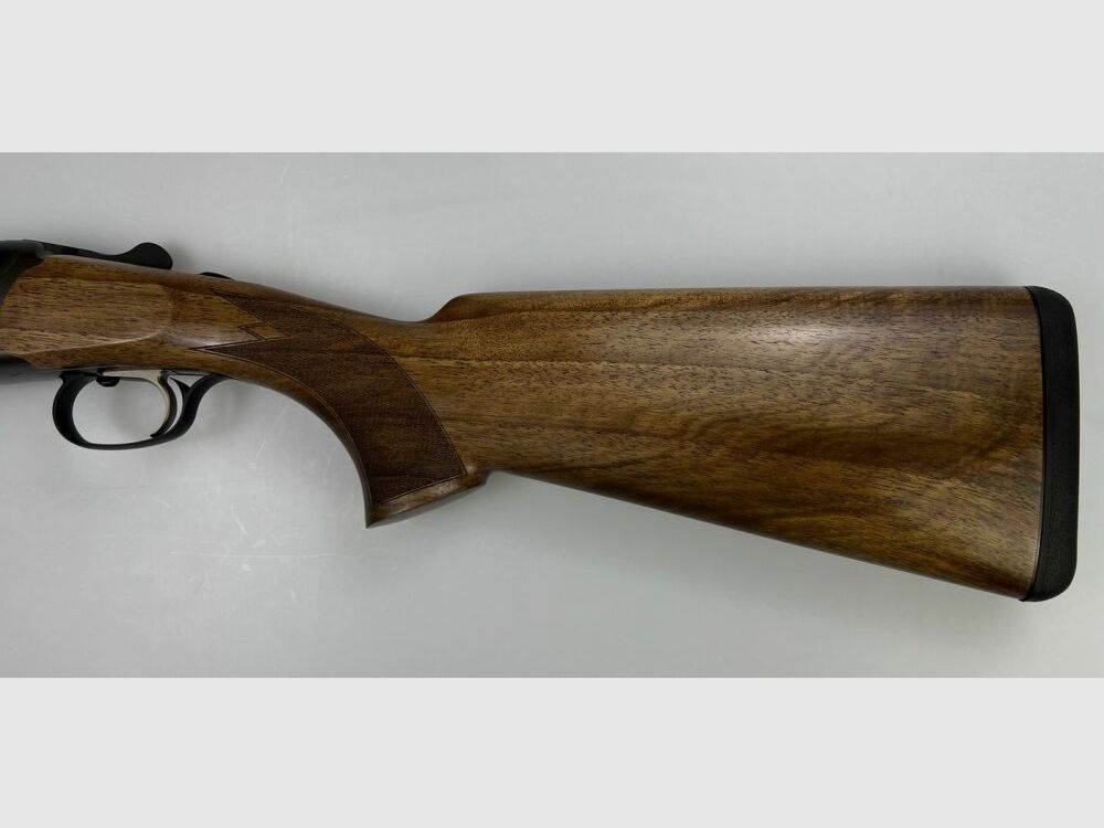 Blaser F16 Game