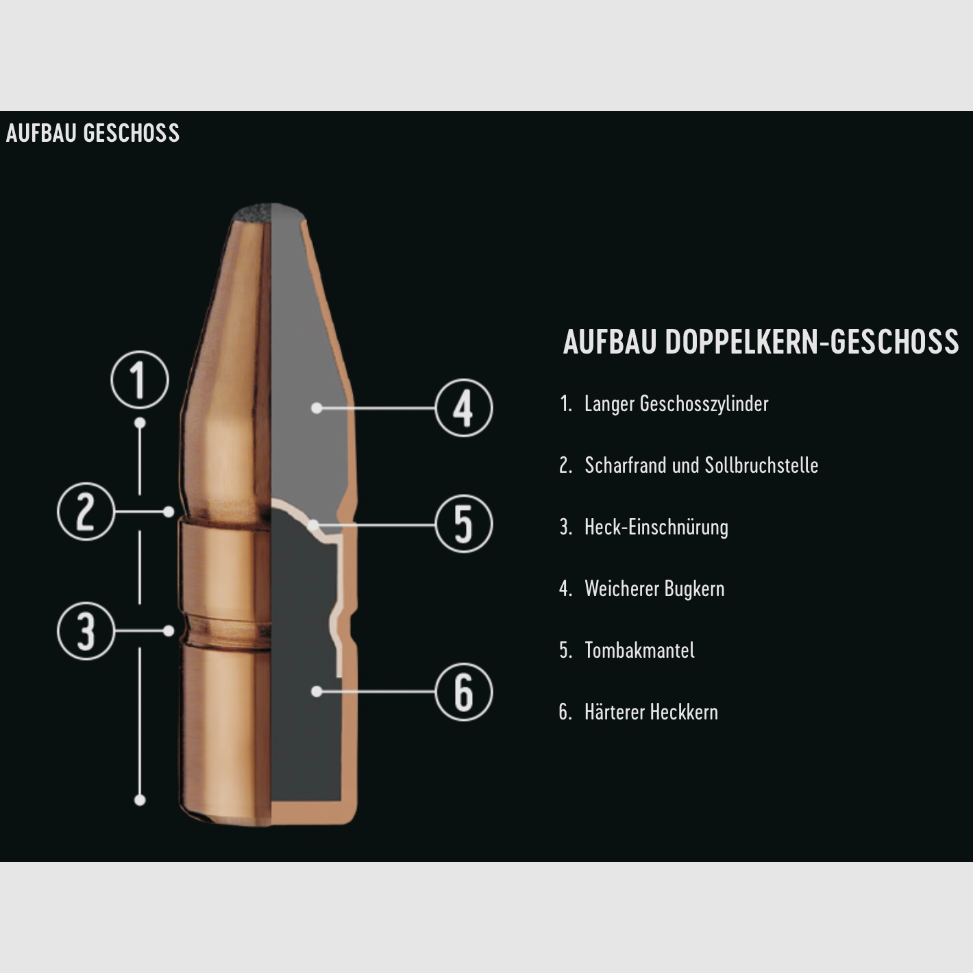 RWS 2117908 Doppelkern .308 Win. 10,7g 165gr munición de rifle 20 unidades.