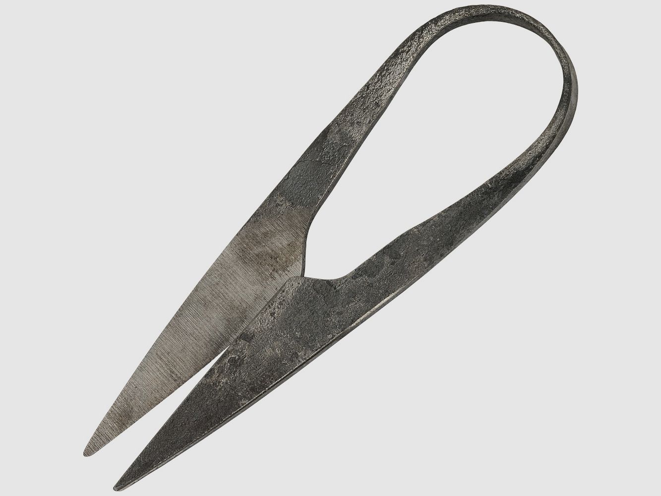 Medieval scissors including leather sheath