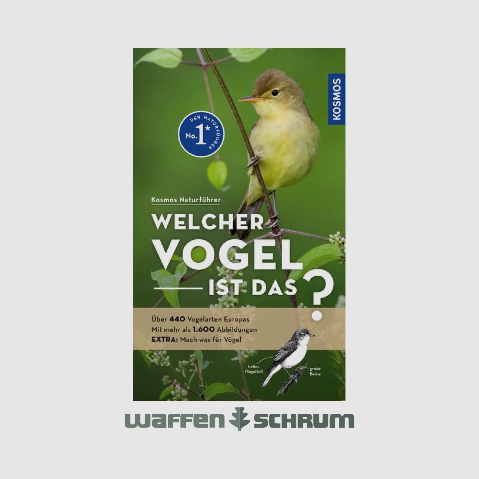 Kosmos Welcher Vogel ist das? Dierschke