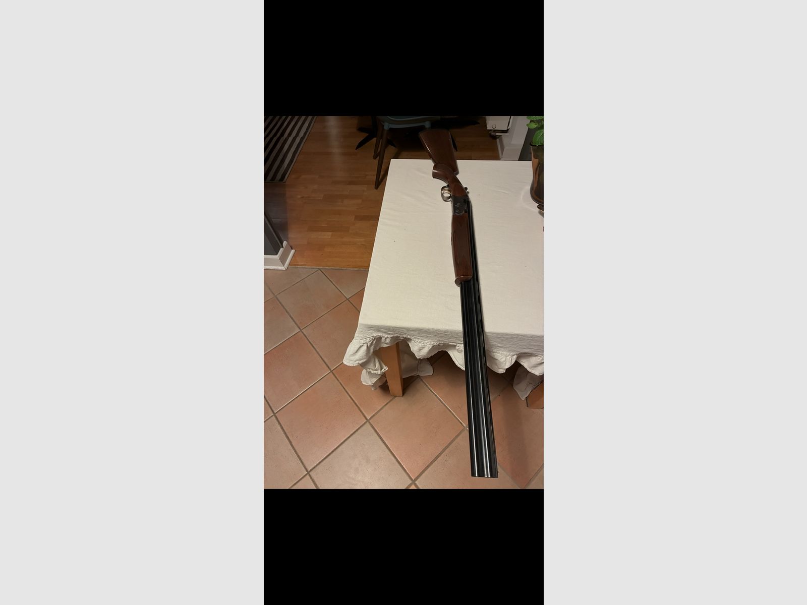 Beretta Bockdoppelflinte Kal. 12/76 686 SilverPigeon 1 Jagd