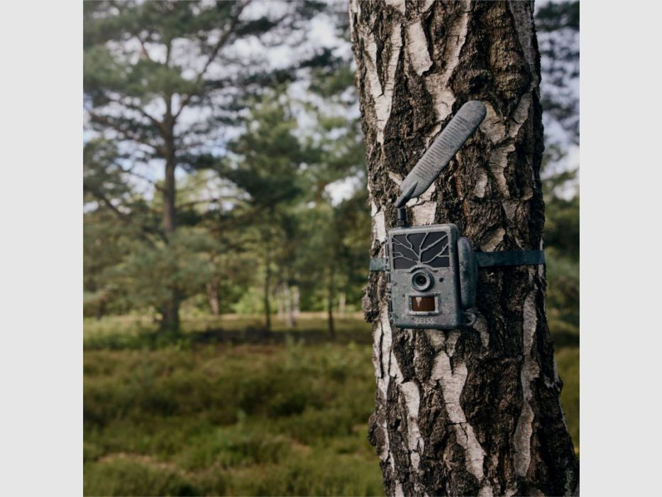 Zeiss Wildkamera Secacam 1, Bild 11 von 18