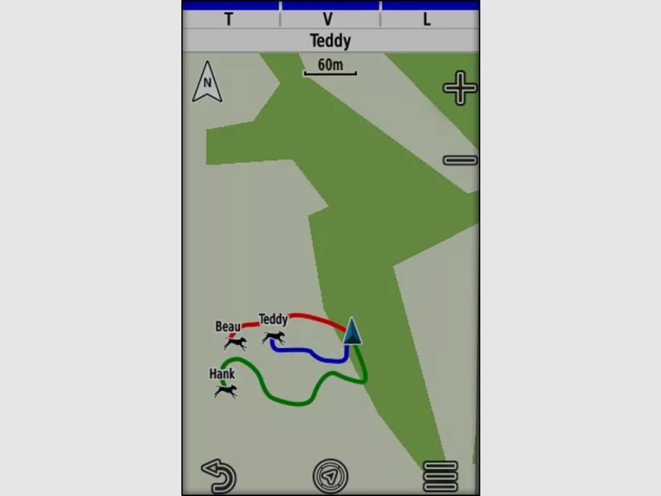 Pack GPS ALPHA 200F Plus T20 Version F GARMIN, Bild 8 von 9