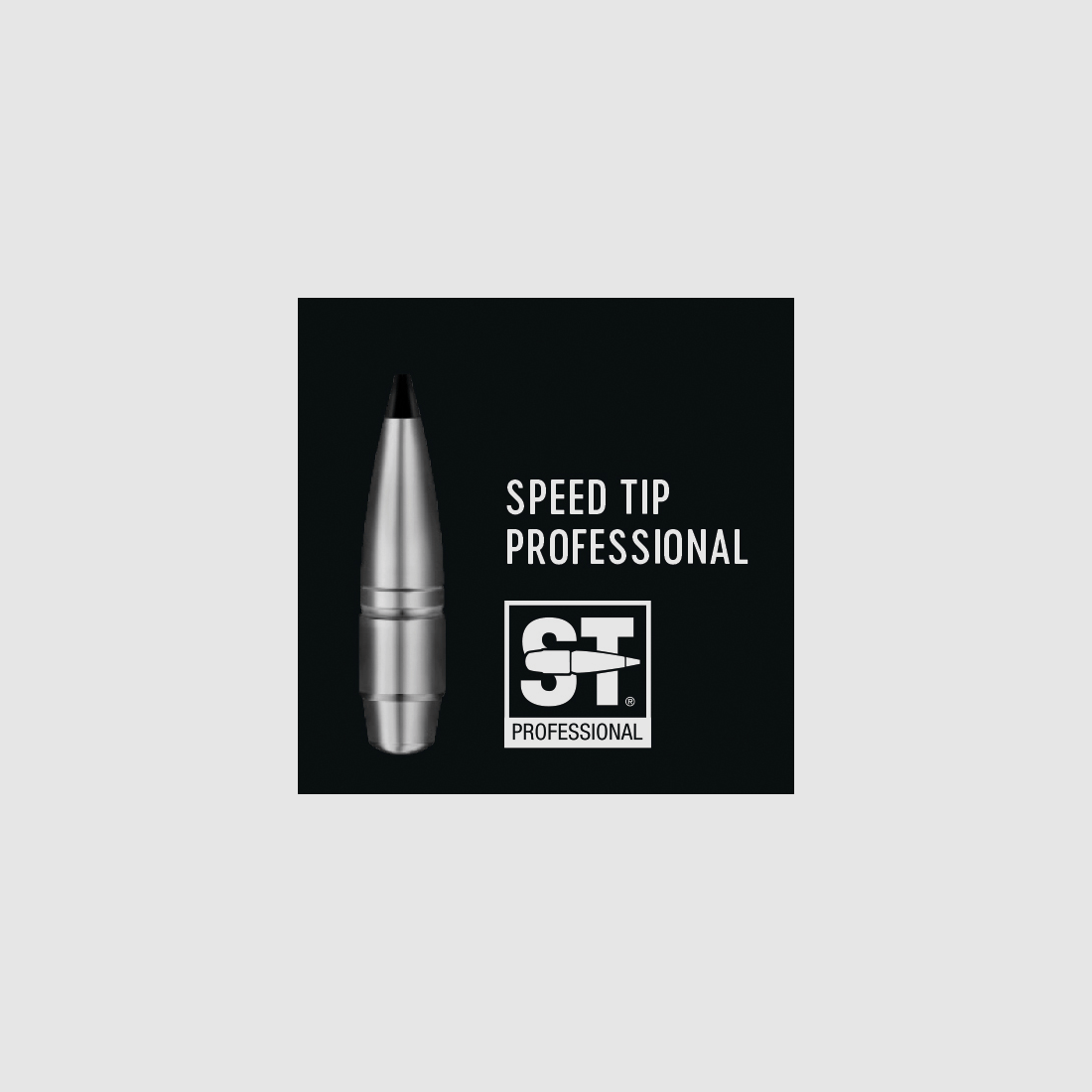 RWS Speed Tip Professional .308 Dia 10,7 g / 165 gr 50Stk
