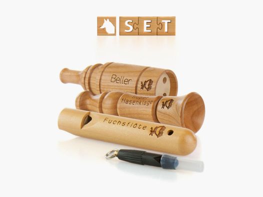 Set de période de chaleur et d'excitation du renard