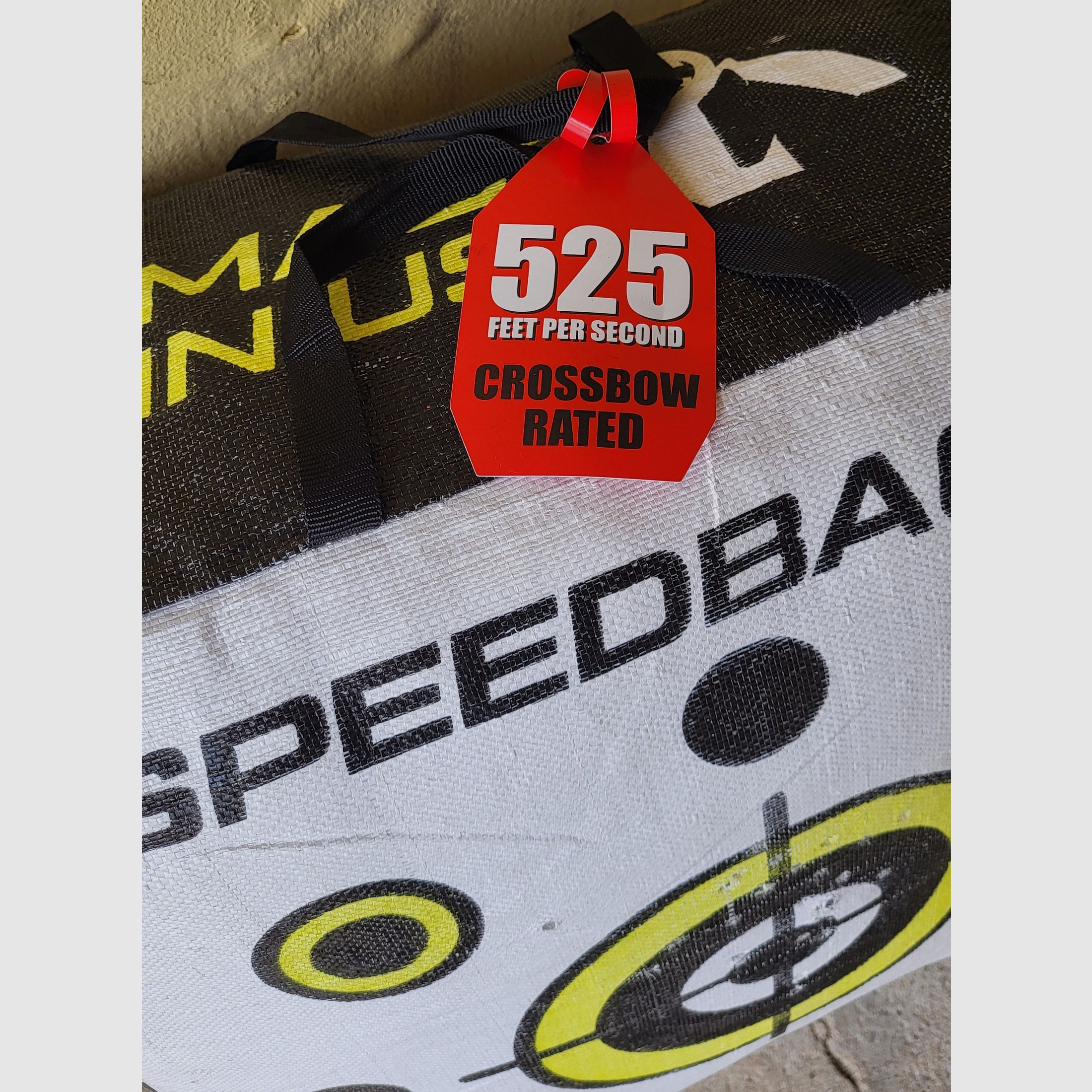 Steambow AR-6 Stinger