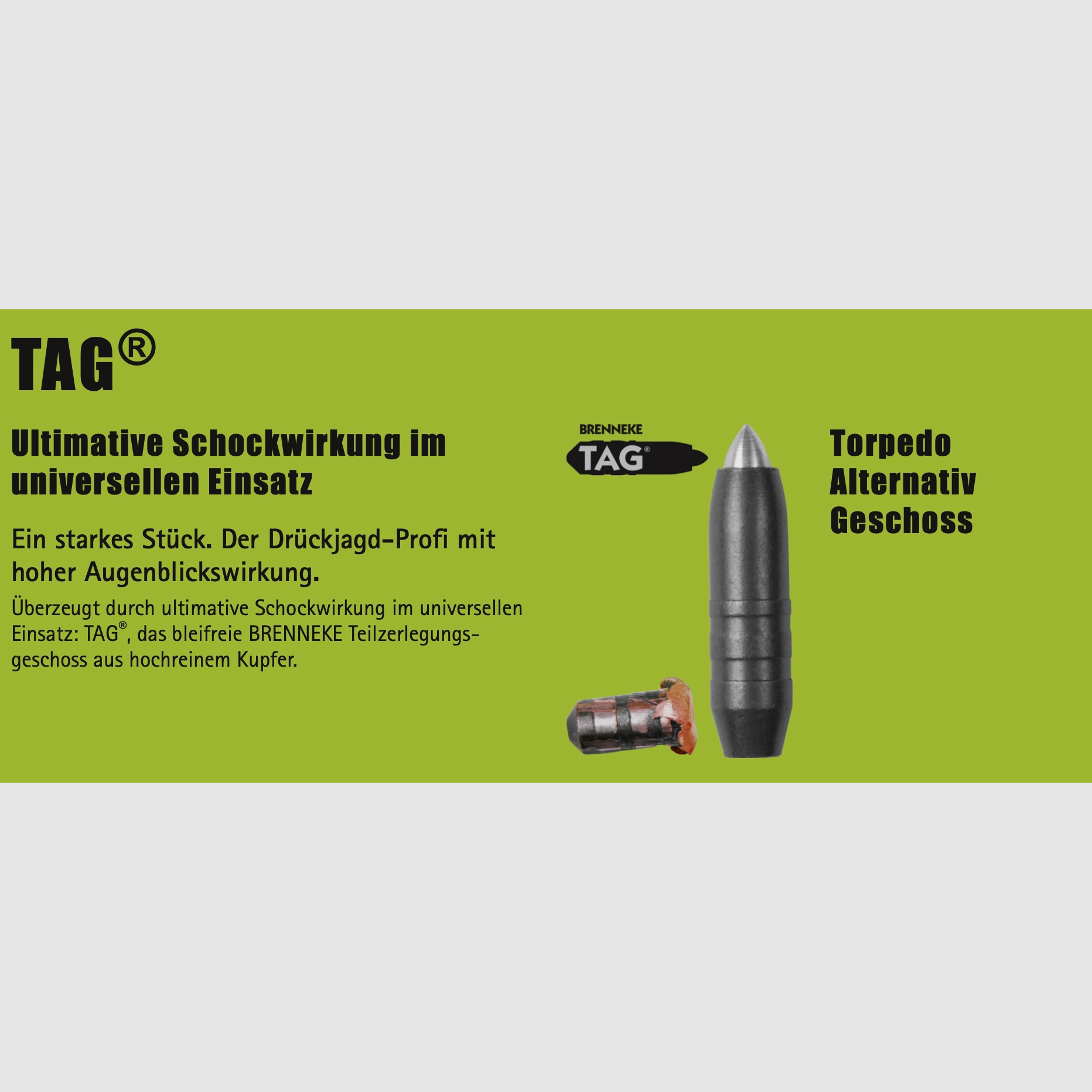 Brenneke 7x65 R TAG 10,4g 160grs. Loodvrij langgeweer munitie