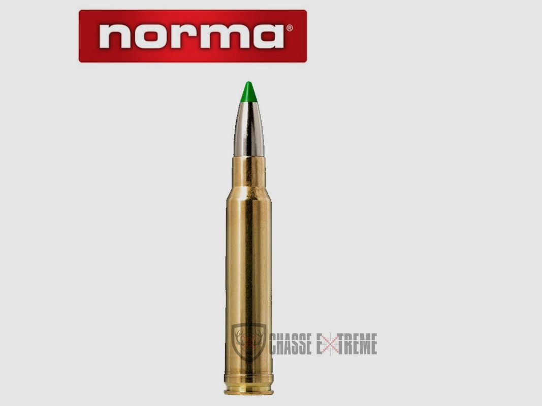 20 Cartridges NORMA Ctg cal 338 Win 200gr Ecostrike