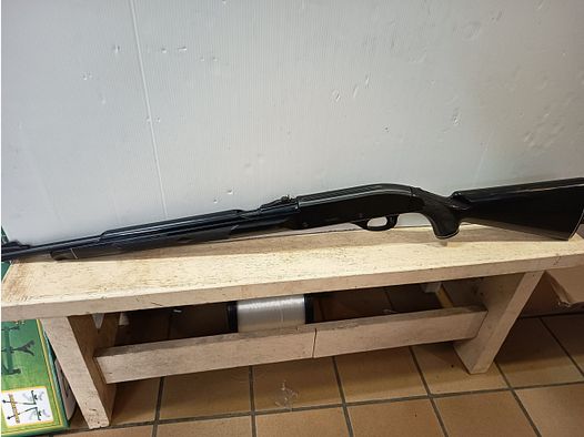 REMINGTON NYLON 66 22lr