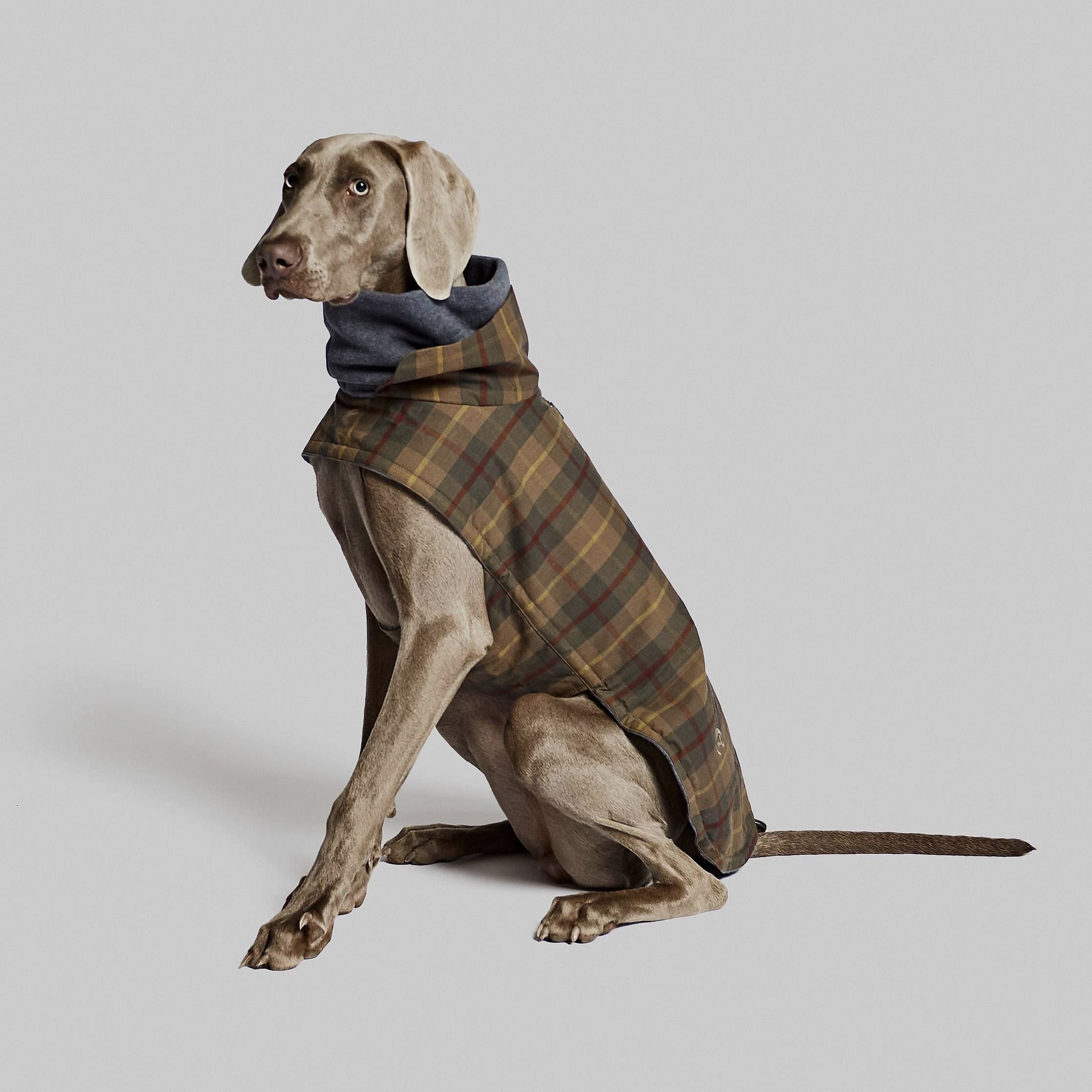 Manteau pour chien Brooklyn ciré Tartan, image 1 sur 7