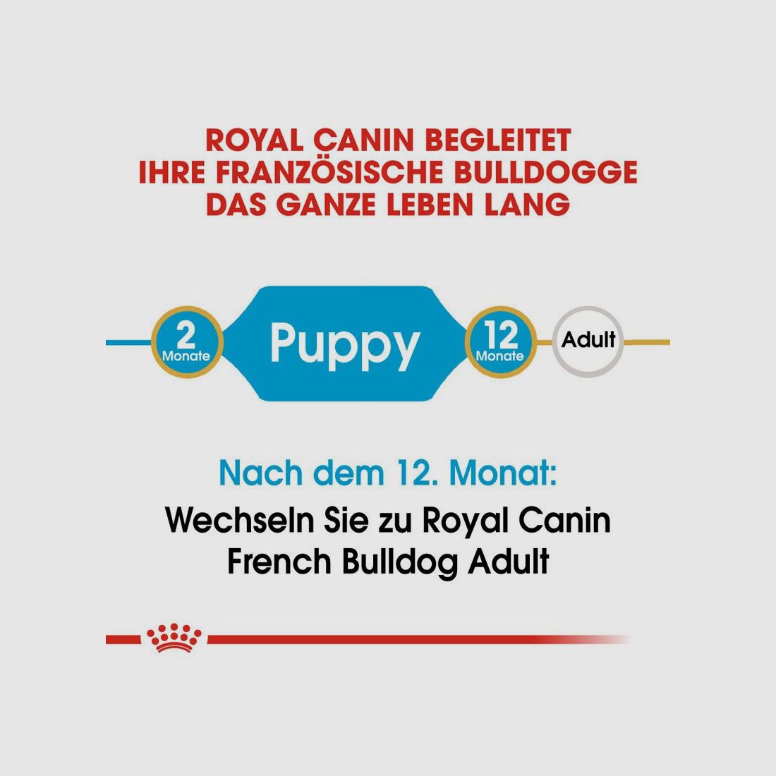 ROYAL CANIN Französische Bulldoggen Trockenfutter Welpen