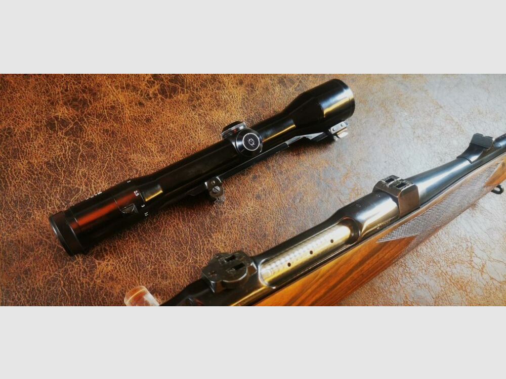 Sauer 80