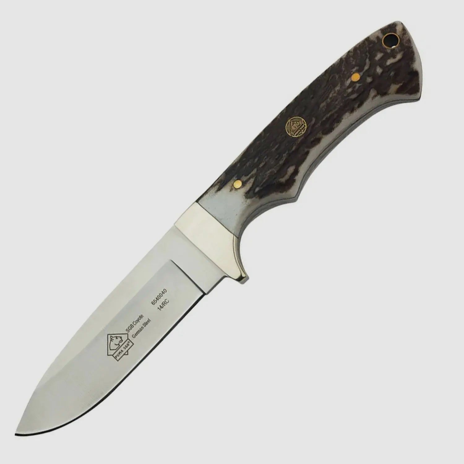PUMA SGB coyote, stag