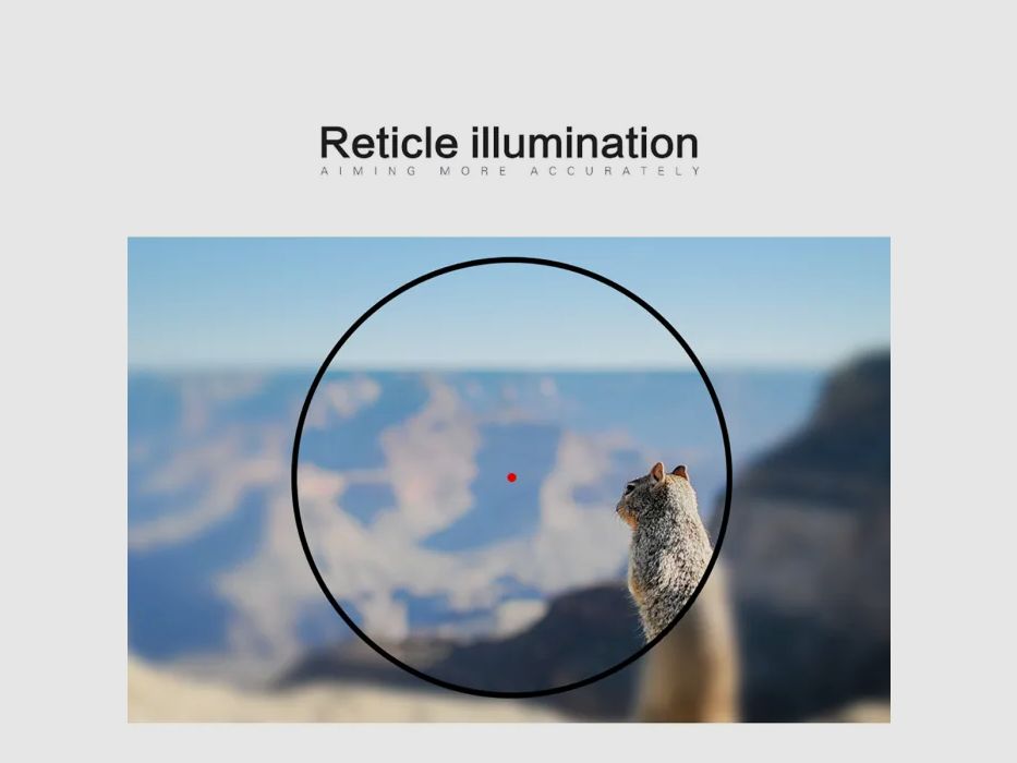 Visée point rouge / Red Dot