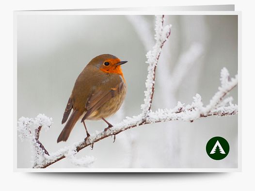 Gift voucher for printing