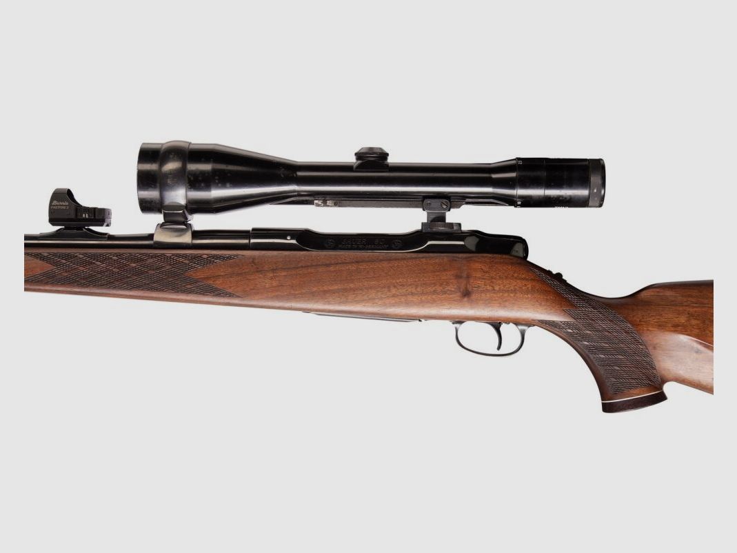 Sauer 80