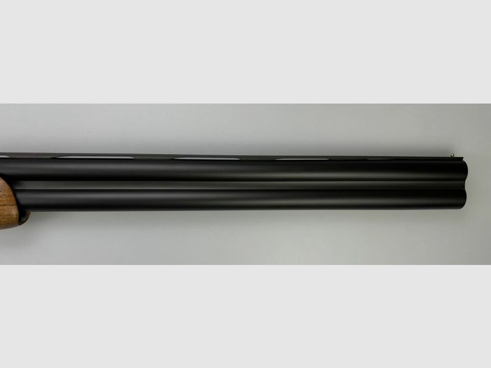 Blaser F16 Game