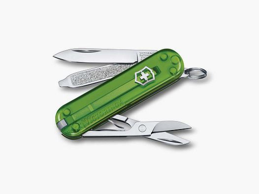 VITORINOX CLASSIC SD GRÜNER TEE