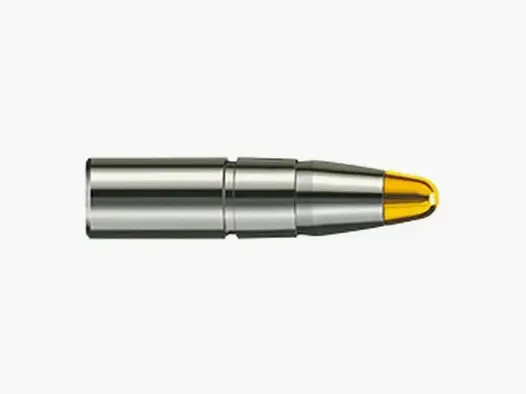 Geschosse RWS EVO 8mm, dia .323, 200grs, 2317411