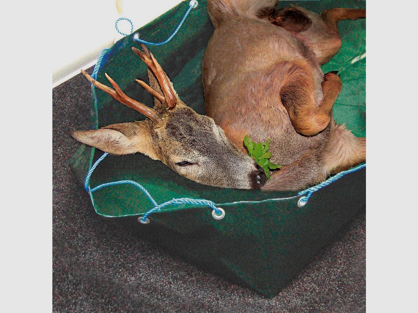 Wald & Forst Opvouwbare wildkuip, afbeelding 4 van 4
