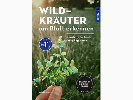 Livre "Reconnaître les herbes sauvages par les feuilles"