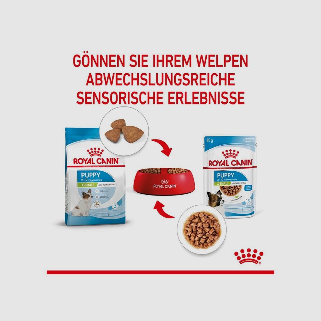ROYAL CANIN Sehr Kleine Hunde Trockenfutter X-Small Welpen