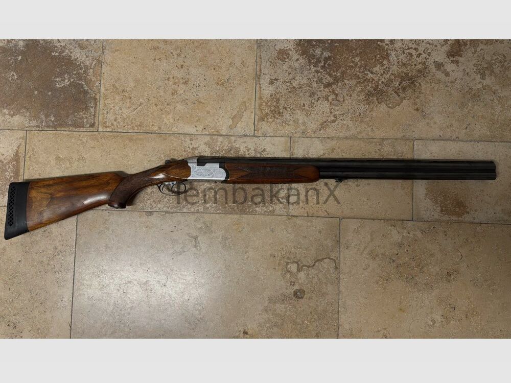 Sauer Beretta S56E	 12/70