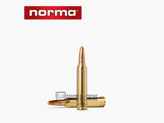 20 Nabojów NORMA Kal. 7mm Rem Mag 170 Gr Z plastikowym czubkiem