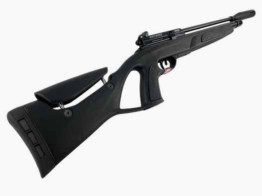 Gamo Coyote Black Whisper Kaliber 4,5mm Diabolo Pressluftgewehr mit Schalldämpfer