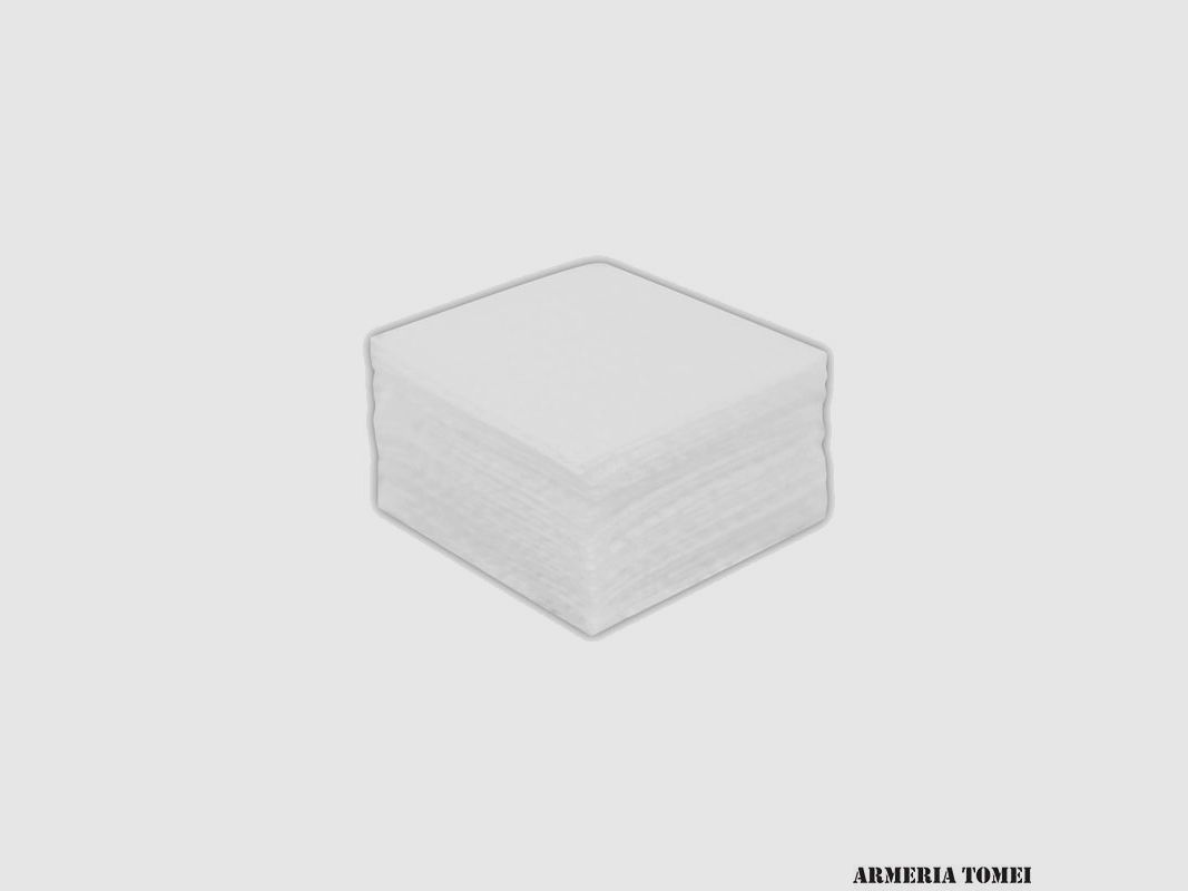 BIRCHWOOD – REINIGUNGSPATCHES 1-1/8″ 3CM (.22TO.25) PACK1000