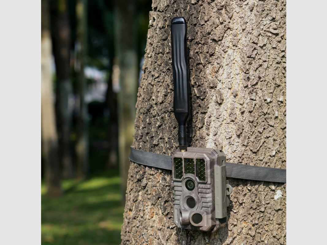 Caméra de chasse GardePro X60 Pro PMB, image 3 sur 5
