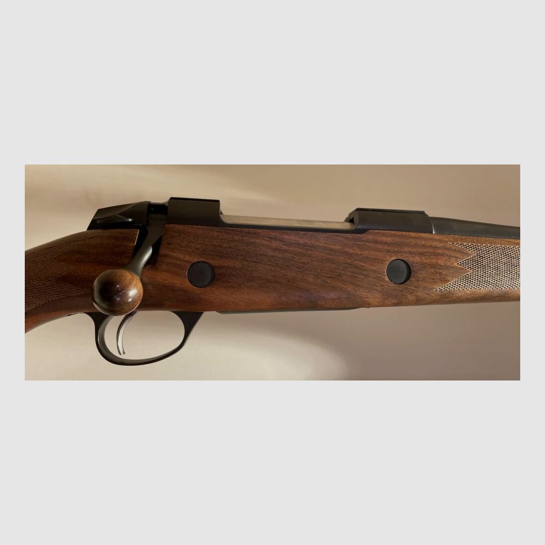 SAKO 85 GRIZZLY with thread